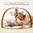 Load image into Gallery viewer, Itzy Music & Motion Activity Gym
