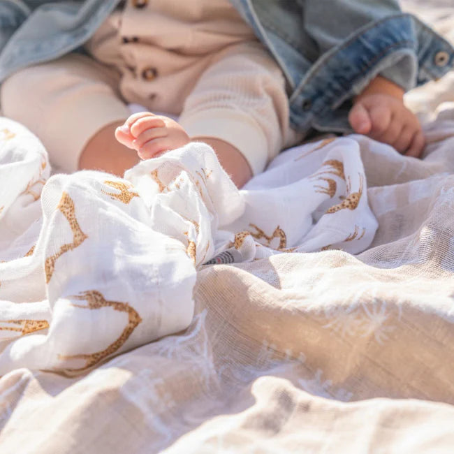 Aden+Anais Safari Dreams Organic Swaddles 4-Pack