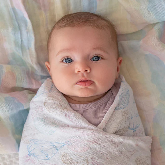 Aden+Anais Above the Clouds Organic Swaddles 2-Pack