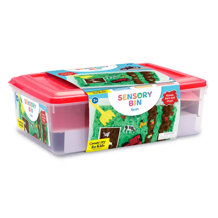 Sensory Bin