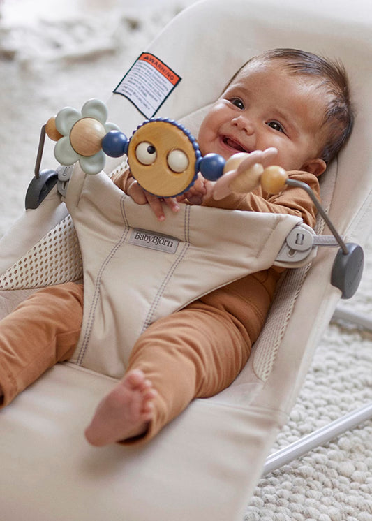 BabyBjorn Toy for Bouncer - Googly Eyes - Pastels