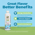 Load image into Gallery viewer, Mary Ruth's Kids Organic Multivitamin Liposomal
