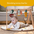 Load image into Gallery viewer, Garden of Adventures Luxe Developmental Gymini
