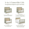 Load image into Gallery viewer, Namesake White Driftwood Eloise 4-in1 Convertible Crib
