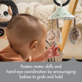 Load image into Gallery viewer, Black & White Décor Luxe Developmental Gymini
